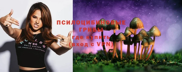 сатива Богданович