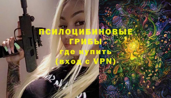 сатива Богданович
