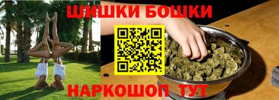 СК Волгодонск