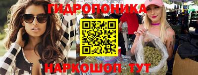 СК Волгодонск