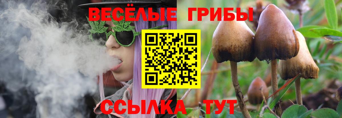Псилоцибиновые грибы прущие грибы  наркошоп  Горно-Алтайск  Галлюциногенные грибы MAGIC MUSHROOMS 