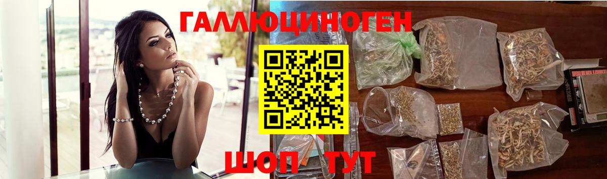 Галлюциногенные грибы Psilocybine cubensis Горно-Алтайск