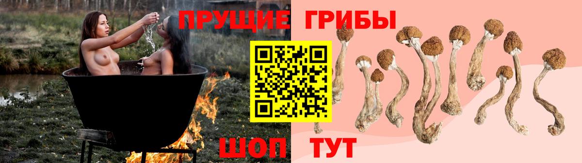Горно-Алтайск  Псилоцибиновые грибы GOLDEN TEACHER  Вход с VPN 